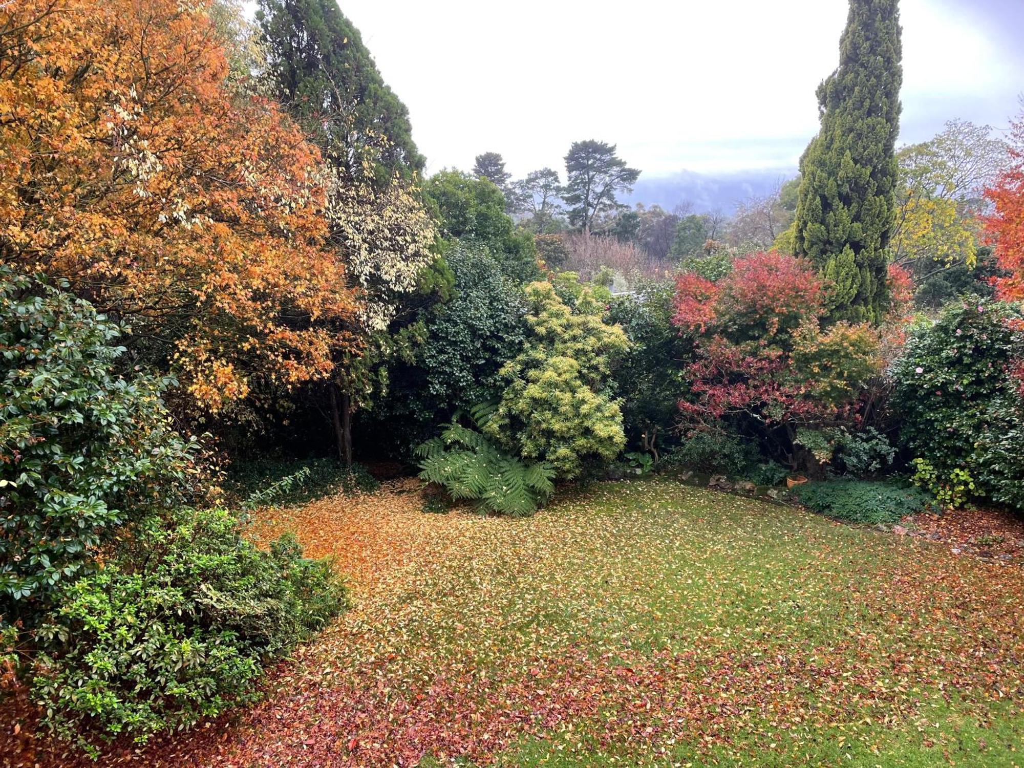 Mountain Sojourn - Tranquil Kurrajong Getaway Leilighet Eksteriør bilde